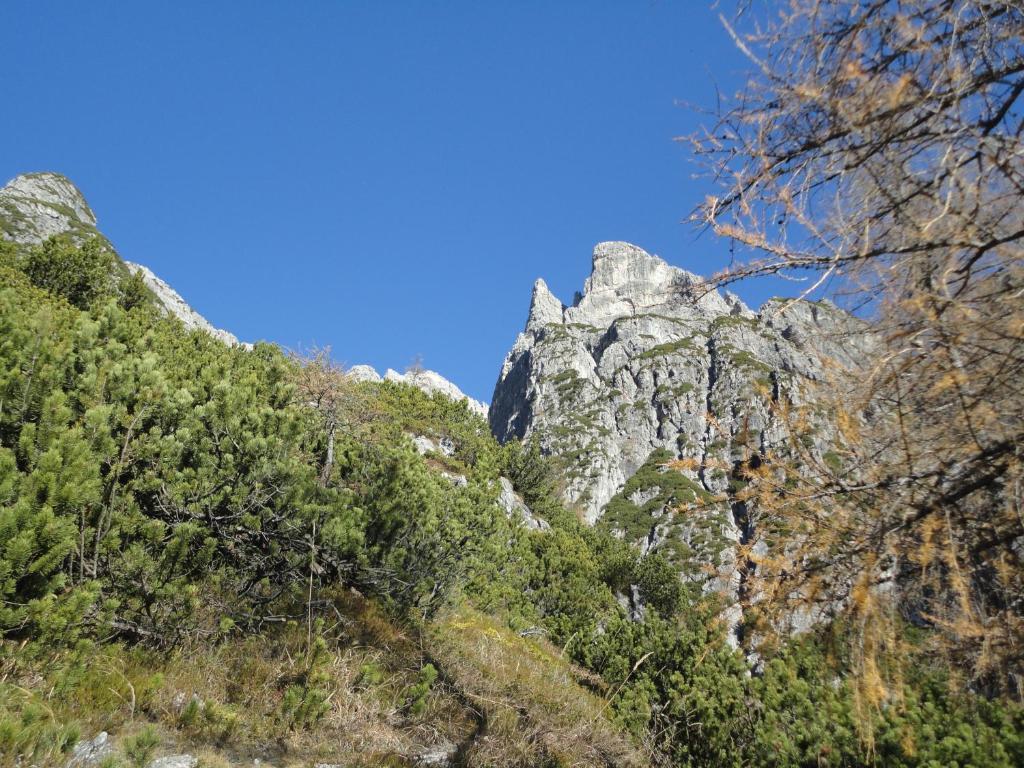 Gasthof Brentwirt Pension Leogang Buitenkant foto